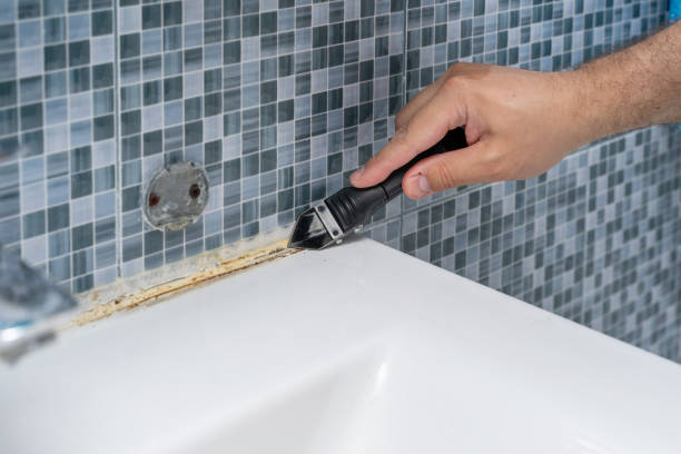Mold Removal and Inspection in South Greensburg, PA